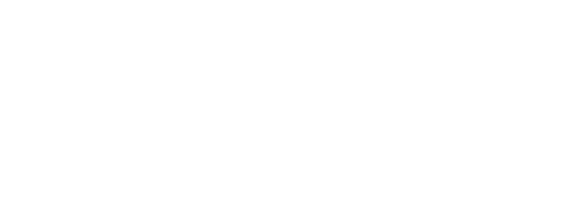 New Brand Logo