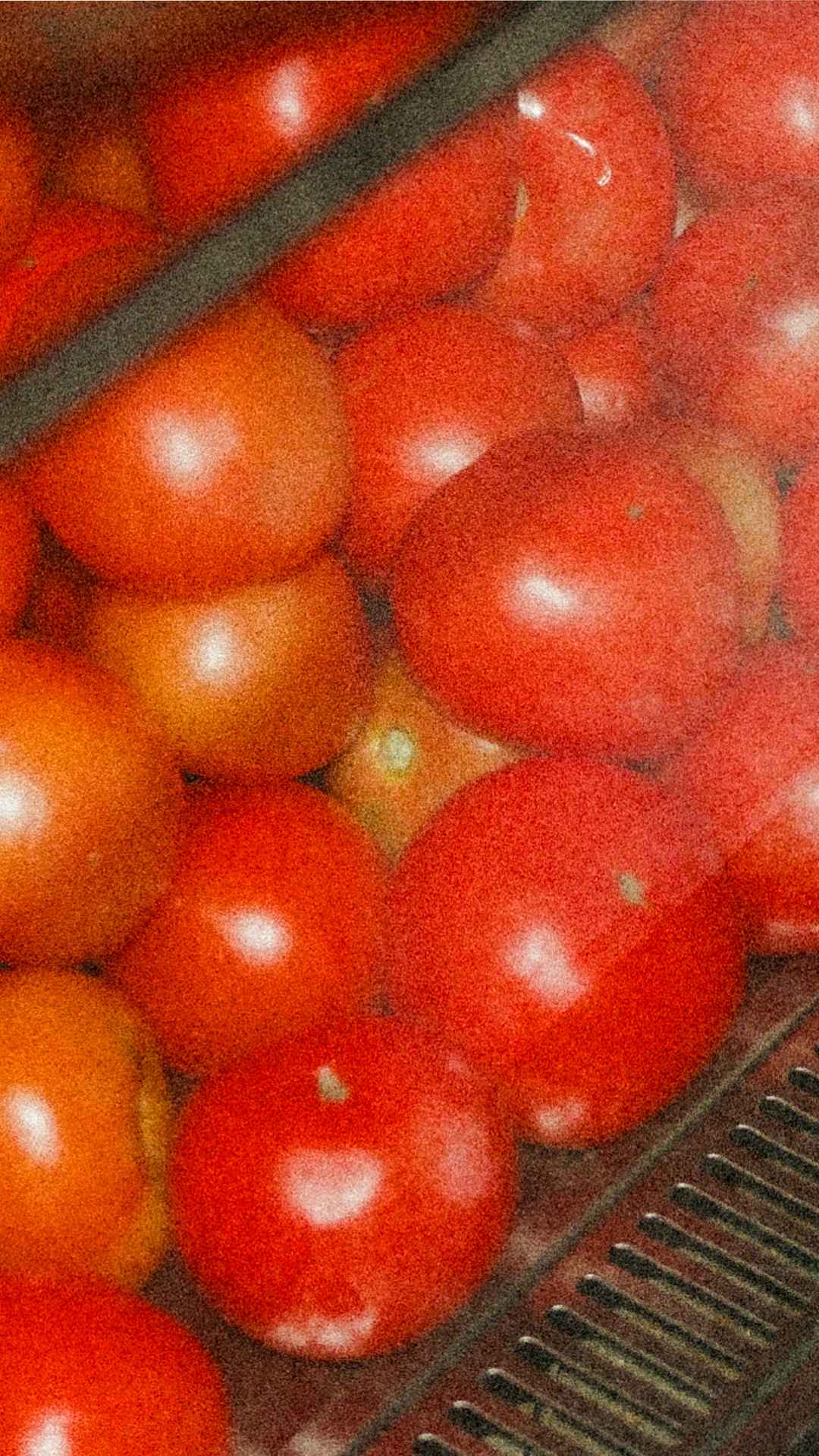 solangedish1
